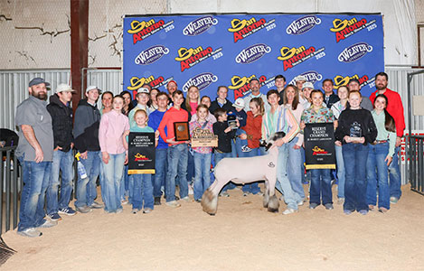 Reserve Grand Champion
San Antonio Stock Show